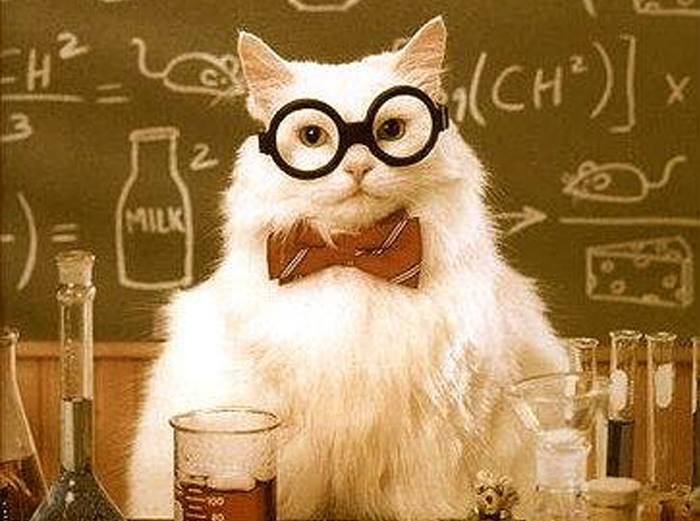 Traduire, c'est créer une équivalence @Pinterest