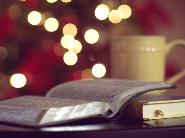 nadine-gassie-stephen-king-literary translation