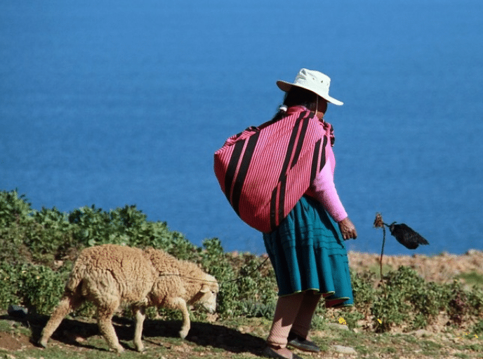 interpreter-pour-sauver-les-langues-indigenes-es
