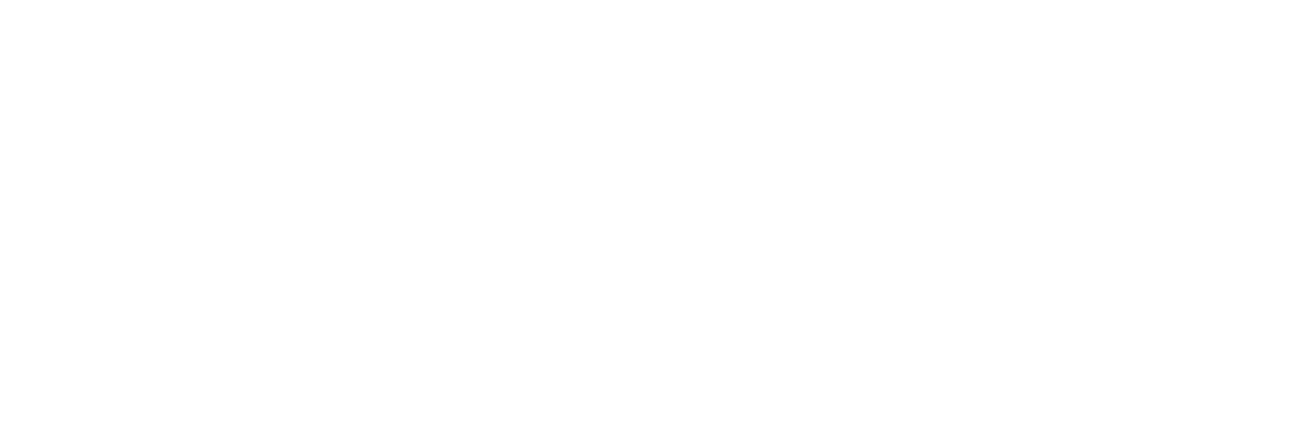 41 International Centre for Migration