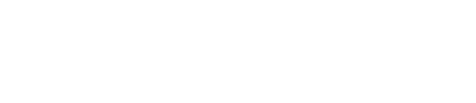 Groupe Berto