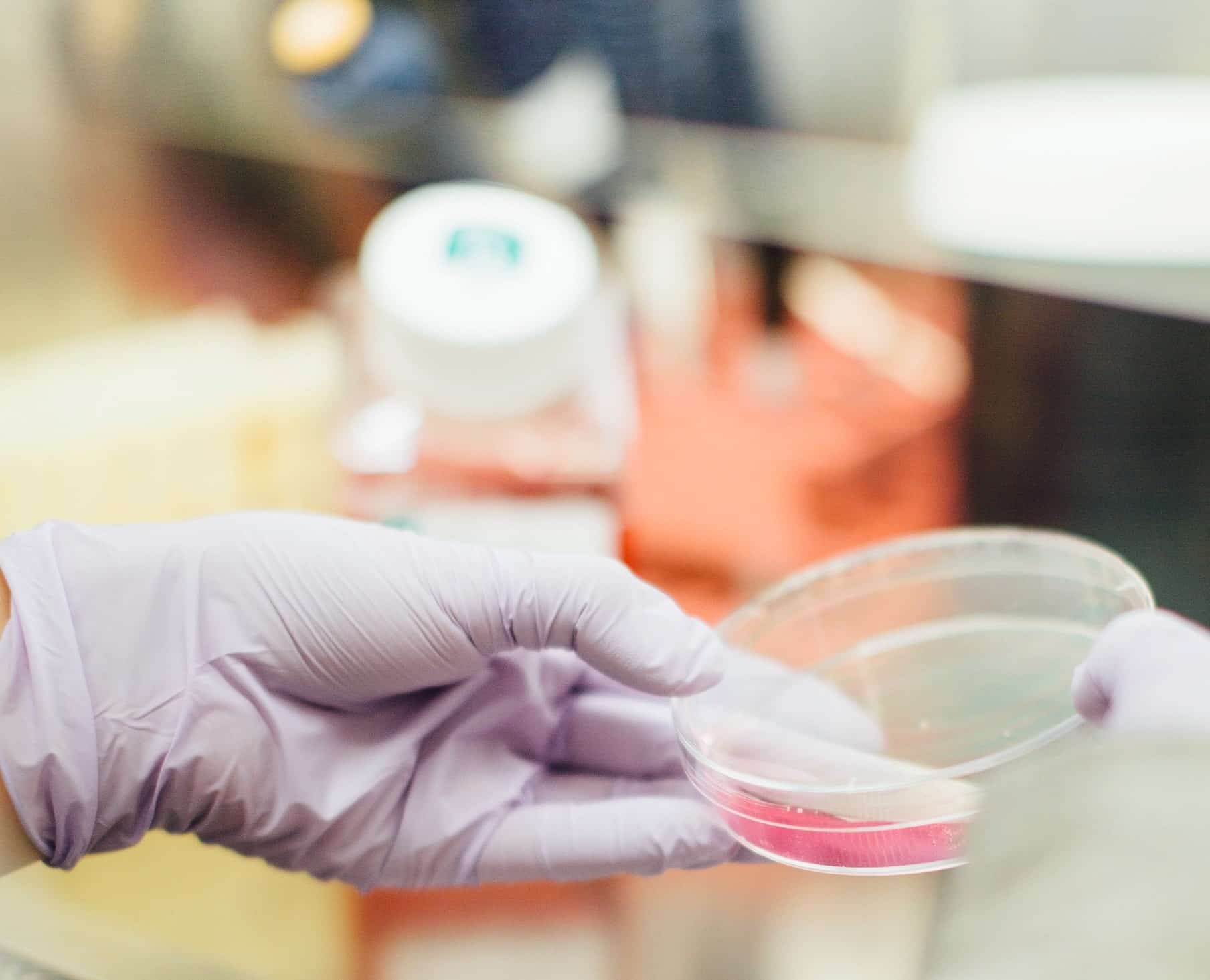 Laboratoire pharmaceutique