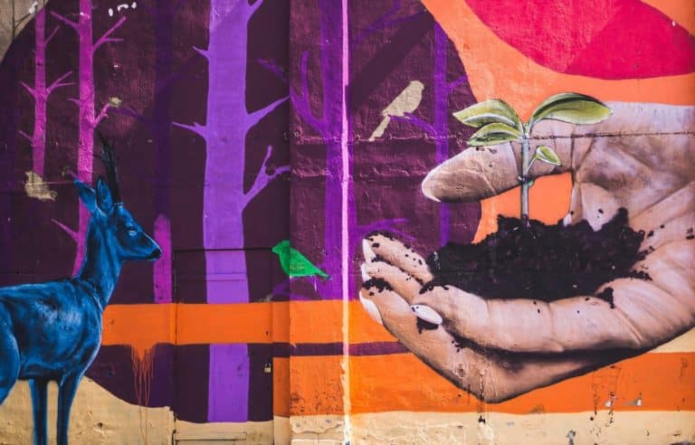 Traduction d'un blog professionnel