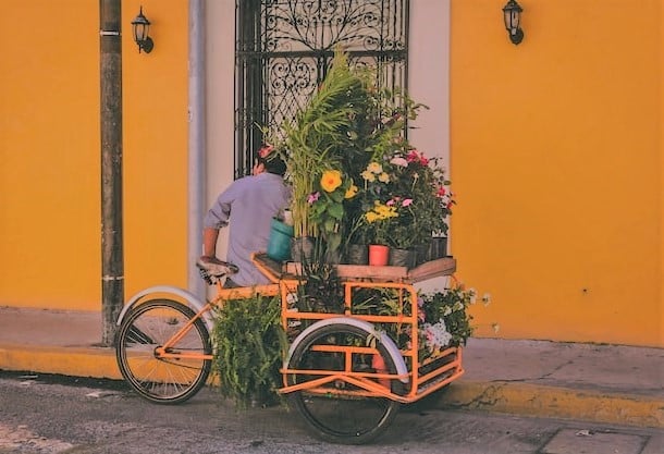 Traduction transport environnement