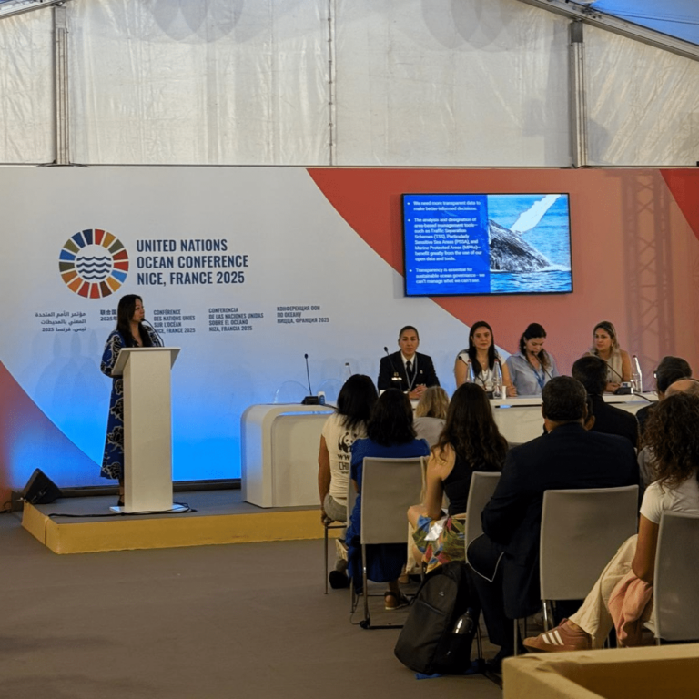 View of panelist speaking at a UNOC3 panel orgnaized by WWF Chile.